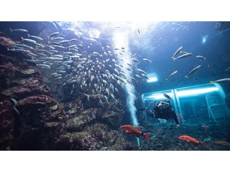 【静岡・下田海中水族館】アクアドームペリー号・大水槽