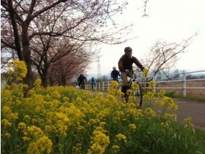 【利根川／群馬 埼玉／関東】一面の菜の花畑☆お花見サイクリング＆パックラフトカヌー ゆるやか川下り体験　☆4月上旬は桜も◎ 東京〜日帰りも有