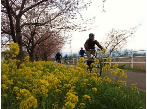 【利根川／群馬 埼玉／関東】一面の菜の花畑☆お花見サイクリング＆パックラフトカヌー ゆるやか川下り体験　☆4月上旬は桜も◎ 東京〜日帰りも有の画像