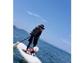 愛犬と一緒にサップorカヤックで海上散歩！