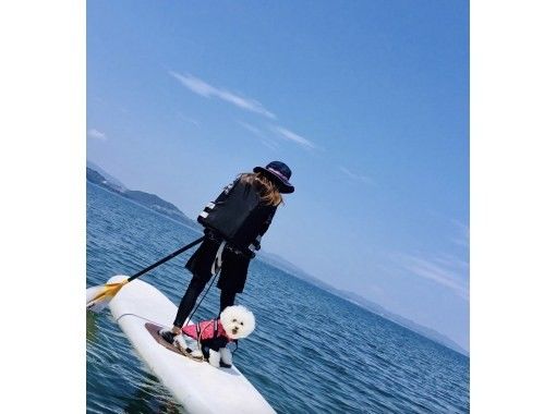 愛犬と一緒にサップorカヤックで海上散歩！の画像