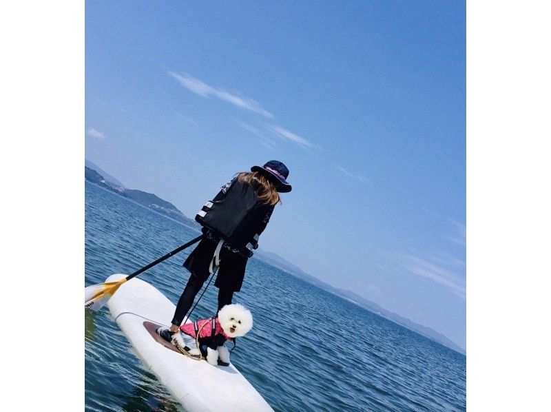 【北海道・SUP体験】透明度の高い支笏湖の湖面をクルージング！SUP体験（半日コース）の画像