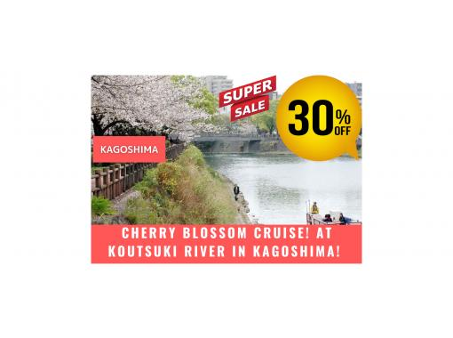 [คาโกชิมา] ล่องเรือชมดอกซากุระแม่น้ำ Kotsukiの画像