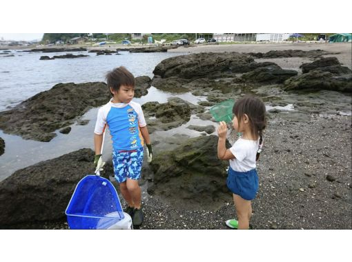 [Kanagawa Prefecture, Yokosuka City] Summer Special Part 4 @Kanagawa Edition 4 hours of exploring the sea and rivers, observing 50 types of creatures ♪ Children onlyの画像