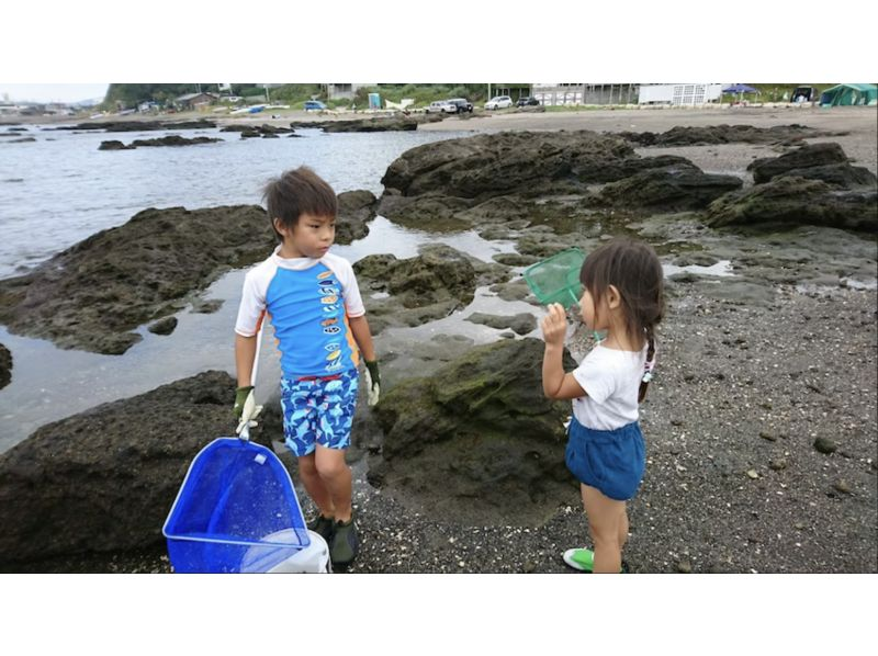 [Kanagawa Prefecture, Yokosuka City] Summer Special Part 4 @Kanagawa Edition 4 hours of exploring the sea and rivers, observing 50 types of creatures ♪ Children onlyの紹介画像