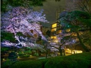 八芳園夜桜ライトアップと目黒川桜のトンネル　桜名所5景巡りバスツアー【全国旅行支援2023・東京】【P018707】   