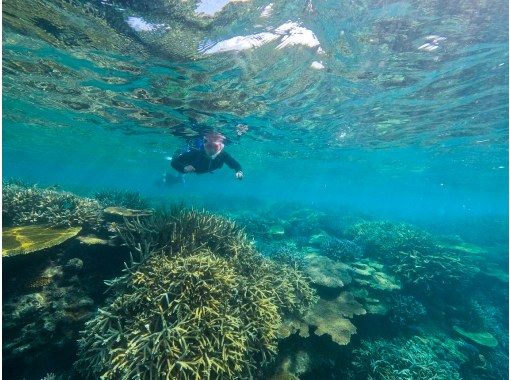 【那覇空港からめちゃ近】ボートで5分!サンゴの群生が綺麗なシュノーケル【2時間コース】の画像