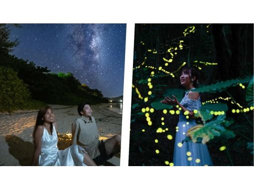 [Okinawa, Ishigaki Island] Special price for children "Yaeyama Hime Firefly" viewing tour ★ Stargazing by Ishigaki City certified guide ★ (Round-trip transportation included)の画像