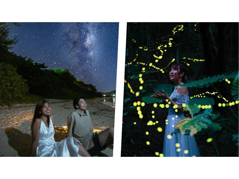 [Okinawa, Ishigaki Island] "Yaeyama Hime Firefly" viewing tour ★ Stargazing with an Ishigaki City certified guide ★ (round-trip transportation included)の紹介画像