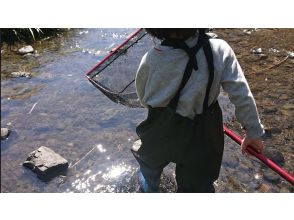[Tokyo Chofu] * For families * Summer vacation special Observation of river creatures and exploration of forest creatures (bicycle movement)の画像