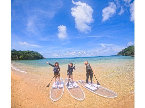 石垣島【1組限定貸切ツアー】3歳-12歳以下無料!! クリアサップ＋ドローン撮影&GoPro貸し出し無料!の画像