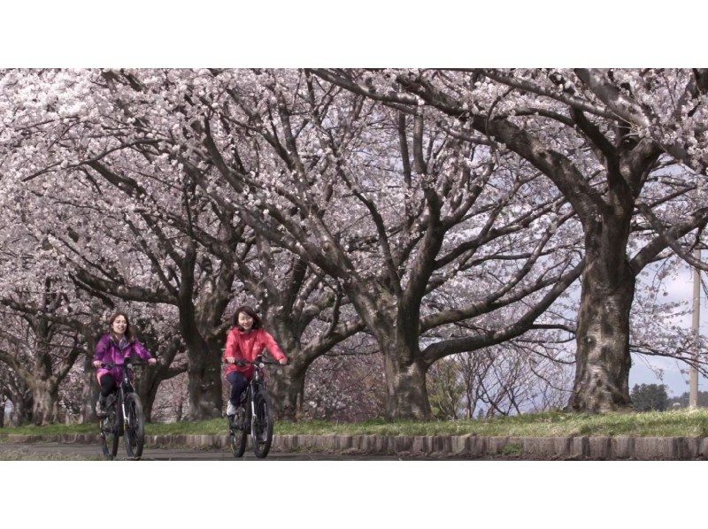 [ยามากาตะ/เมืองสึรุโอกะ] ทัวร์จักรยานไฟฟ้า Okuno Hosomichi Dewaji “Cherry Blossom Tour”の紹介画像