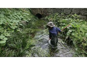 [Tokyo/Chofu] 9:00 AM, 13:00 PM - Mainly in the upper reaches *Families only *Kanagawa * Rice field spring water exploration tour Suitable for infants and elementary school students (free rental of stupid boots, electric bicycle transportation)の画像