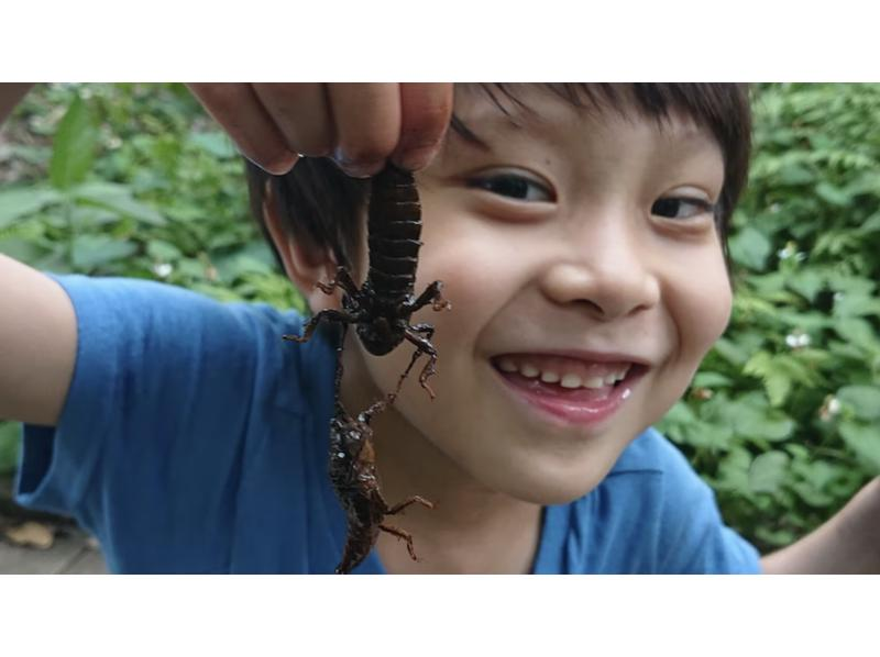 [Tokyo/Chofu] Kids Special Adventure Kawamori exploration @ Tama Zoo, insectarium commentary tourの紹介画像