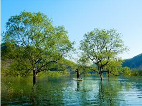 【山形・飯豊】幻想的な白川湖水没林でSUP体験 ♪　週末限定プラン　写真サービス！
