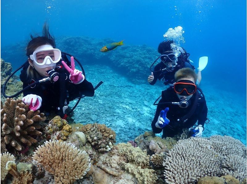 水納島 ダイビングの体験プランの一覧 アクティビティ・遊び・体験