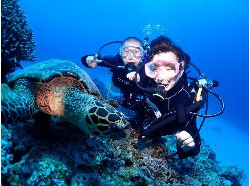 [Okinawa Kerama Islands] Let's meet sea turtles with Kerama boat half-day experience diving! Free transportation within Naha city! Free equipment rental!の画像