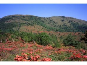 [长野县汤之丸]汤之丸登山の画像