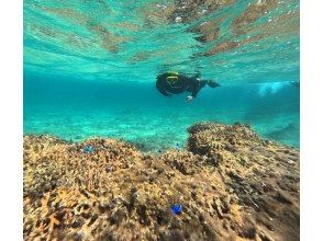 奄美シーランド