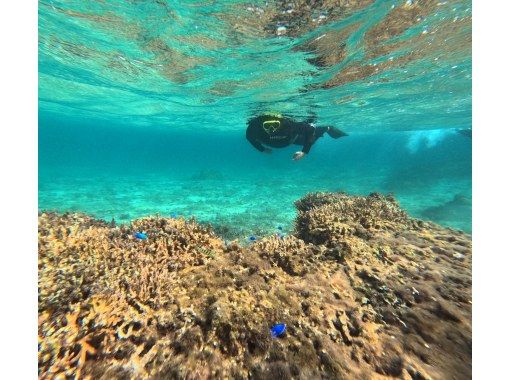 奄美大島【当日予約可能】シュノーケリング（90分）【GoPro水中撮影・ドローン空撮】★口コミ投稿で撮影データ無料プレゼント★の画像