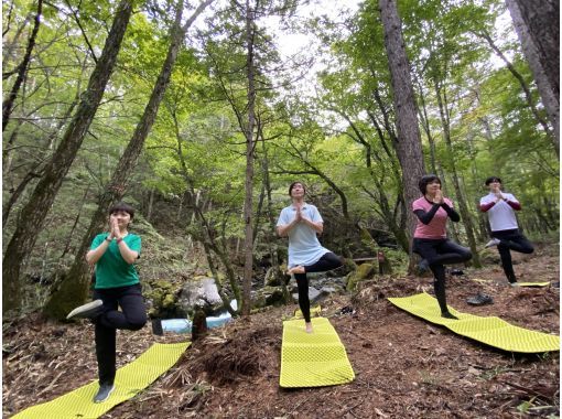 [Nagano Prefecture, Kiso Town Kaida Kogen] Forest Yoga-Forest Active Week-の画像