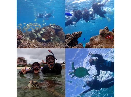 [Okinawa/Miyakojima] 2 points snorkeling! Colorful tropical fish and coral reef sea turtles ♡ You can even see Nemo ♡ The location is great ♡の画像