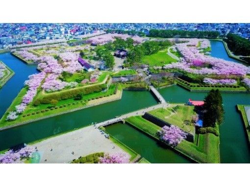Hakodate Cherry Blossom Viewing 1 Day Tour from Sapporoの画像