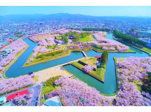 札幌発着：函館の桜を見て回る１泊２日満喫バスツアーの画像