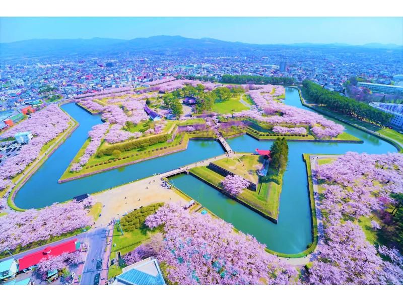 札幌発着：函館の桜を見て回る１泊２日満喫バスツアーの紹介画像