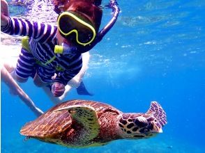 [Ishigaki] Land on the phantom island and swim with sea turtles♪ Mermaid experience♡ Photo and video gifts☆ Shower, one-way boat ticket included. Tours of Taketomi and Obama available.