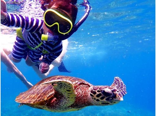 [Ishigaki] Land on the phantom island and swim with sea turtles♪ Mermaid experience♡ Photo and video gifts☆ Shower, one-way boat ticket included. Tours of Taketomi and Obama available.の画像