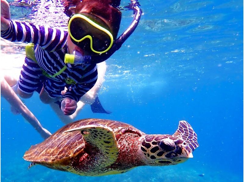 [Kohamajima] Spring sale underway! Extremely popular ☆ Landing on a fantastic island & snorkeling where you can swim with sea turtles ♪ [Free ★ Photo and video gifts, mermaid experience ♡] の紹介画像
