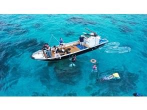 The overwhelming number and variety of fish! Suitable for beginners from 0 to 85 years old! Snorkeling and clear kayaking ⭐︎Make a video of your memories of Miyakojima ♪ Free drone filming!