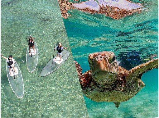 Clear Sup + Beach Snorkeling 2-hour planの画像