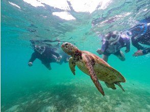 Same-day participation is welcome! For sea turtle lovers, come to Onna Village for the "Beach Snorkeling Sea Turtle Tour"