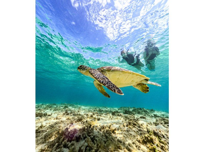 【北海道・SUP体験】透明度の高い支笏湖の湖面をクルージング！SUP体験（半日コース）の画像