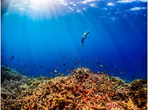 【沖縄・宮古島】さぁー絶景へ！日本最大級のサンゴ礁群八重干瀬＆青の洞窟ボートシュノーケリングツアー♪初心者歓迎！（送迎・写真・動画サービス）の画像