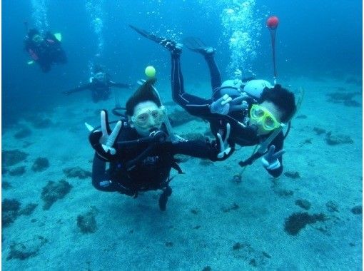 【神奈川・真鶴】体験ダイビング〜海の世界を体験！水中の楽しさを知る！の画像