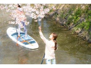 [Limited time only] Cherry blossom viewing SUP experience tour to the water village of Omihachiman! [1 hour course]の画像