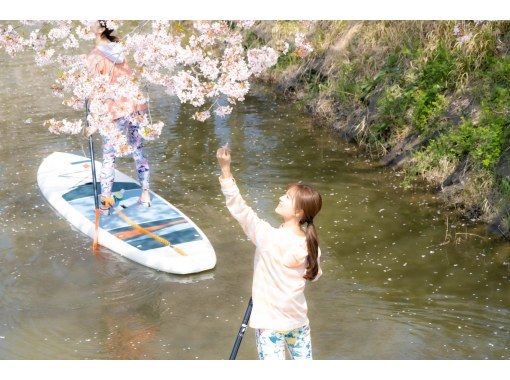 [Spring limited time only] Cherry blossom viewing SUP experience tour in the water town of Omihachiman! [1 hour course]の画像