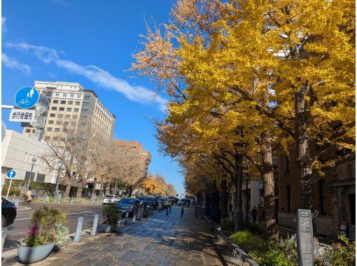 [Kanagawa/Yokohama] Half-day Yokohama tour with guideの画像