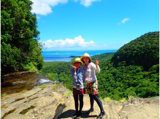 [Iriomote Island, One Day] Early departure is popular. Enjoy hot Yaeyama soba noodles with a spectacular view. Pinaisara Falls (basin and top of the waterfall) canoe & trekking tourの画像