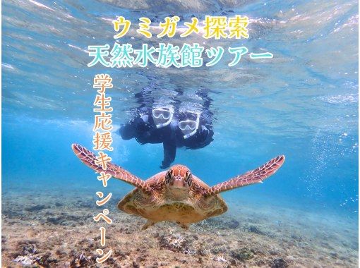 [Student support campaign, pick-up available, for beginners] Natural aquarium tour with sea turtles and clownfish (John Man Beach) Snorkeling guided by a professional guideの画像