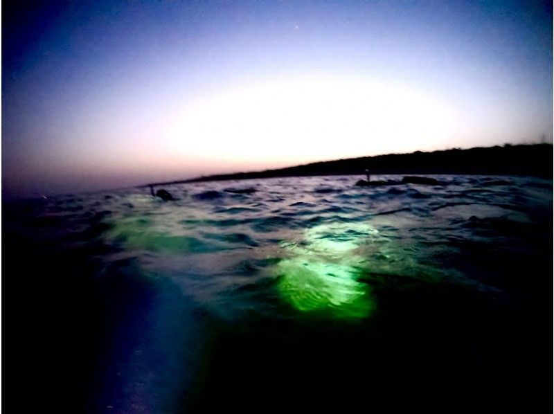 DIVING SHOP OCEAN'S SEVENの割引プラン