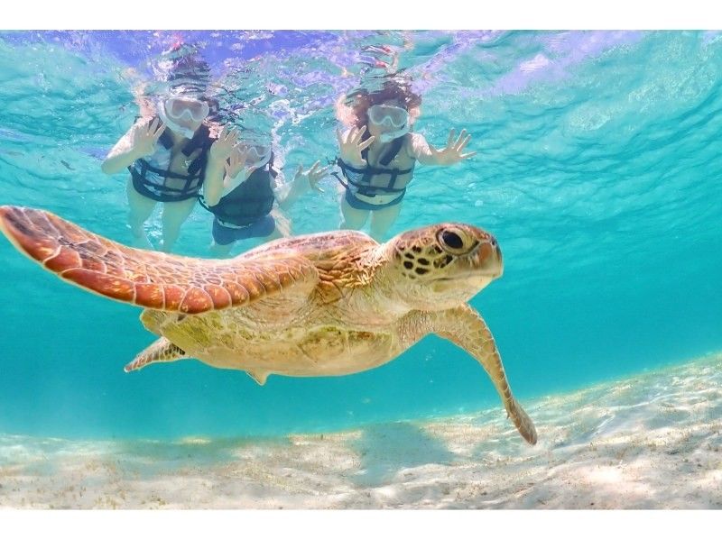【北海道・SUP体験】透明度の高い支笏湖の湖面をクルージング！SUP体験（半日コース）の画像