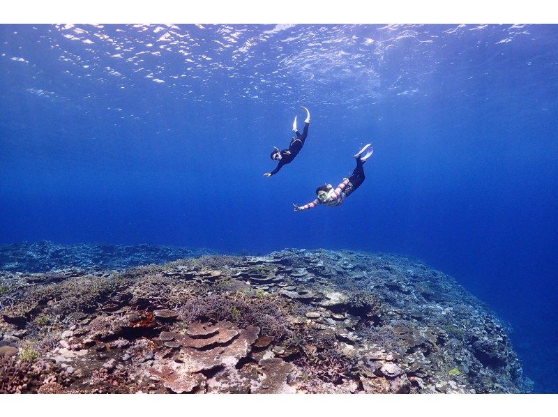 [Okinawa Ishigaki island] Copy of skin diving tour (half day) (1 day)の紹介画像