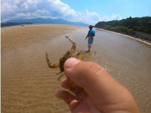 【糸島 シーカヤック×干潟観察】カヤックで行く！干潟遊びツアー！お子様と一緒に楽しめます♪～ファミリーにオススメ～