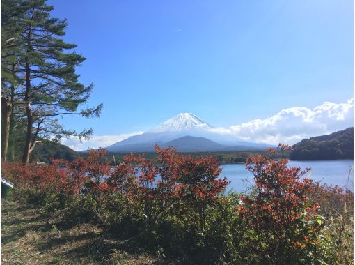 https://img.activityjapan.com/10/48206/10000004820601_Xbijii4J_3.JPG?version=1693571836