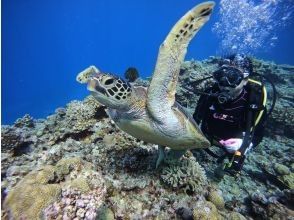 【宜野湾発・ケラマ/チービシ諸島周遊】体験ダイビング2回★水中貸切案内★写真&動画プレゼント★