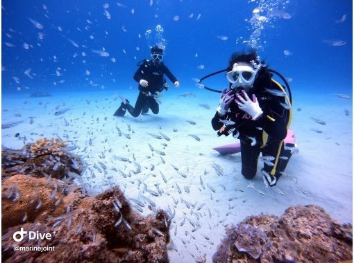【宜野湾発・ケラマ周遊】貸切体験ダイビング⭐️2ダイブ⭐️写真&動画撮り放題⭐️トイレ,シャワー完備⭐️2階席もあるクルーザーで快適の画像